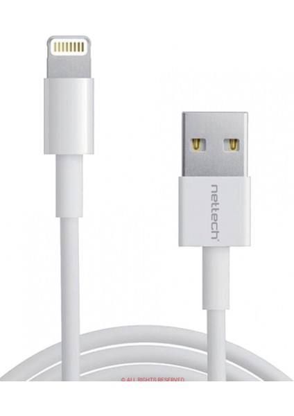 Nt-20 Plastik Lightning (8 Pin) 100 cm Lightning Data Kablo