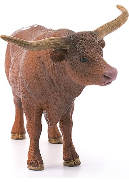T Longhorn Boğa 13866
