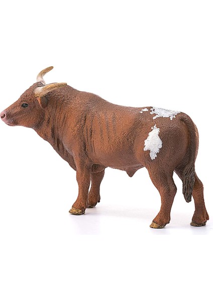 T Longhorn Boğa 13866