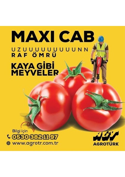 Maxi Cab