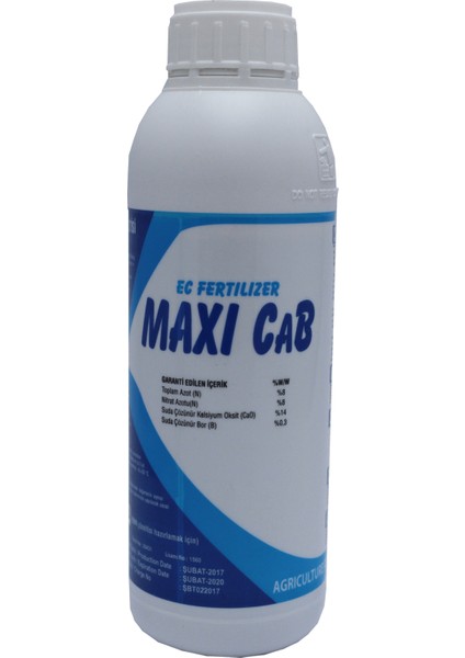 Maxi Cab
