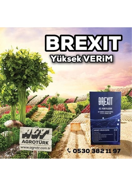 Brexit 1 kg