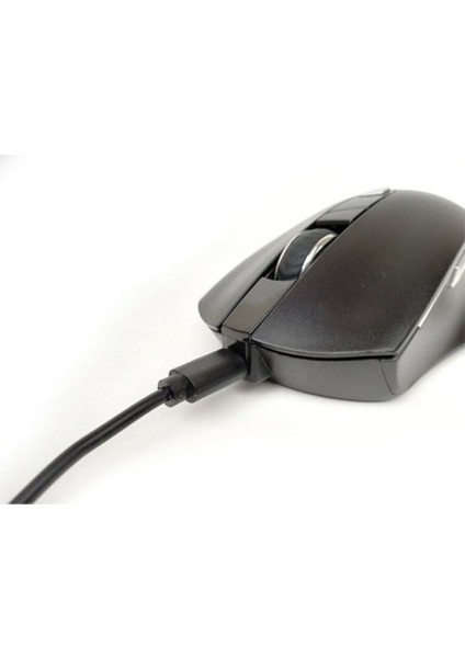 IWM-393RT Sessiz Tip-C-Usb Kablosuz Mouse