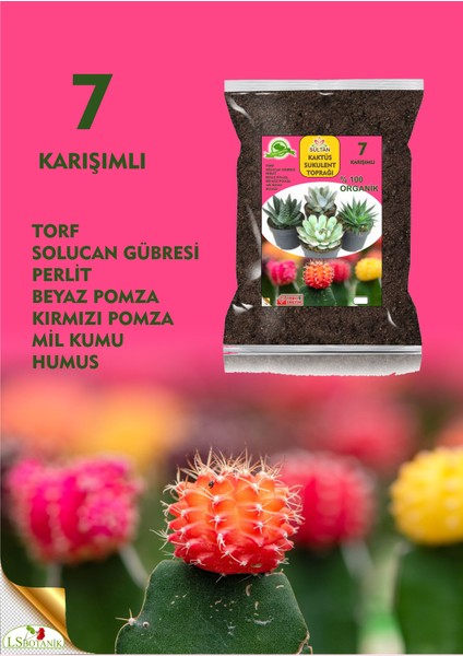 LS BOTANİK Kaktüs Sukulent Teraryum Toprağı Zengin Karışım 3,5 Lt