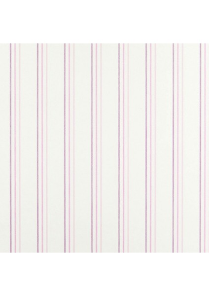 Arc En Ciel İthal Duvar Kağıdı