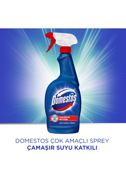 Hijyenik Temizlik Spreyi Çok Amaçlı 750 ML x4