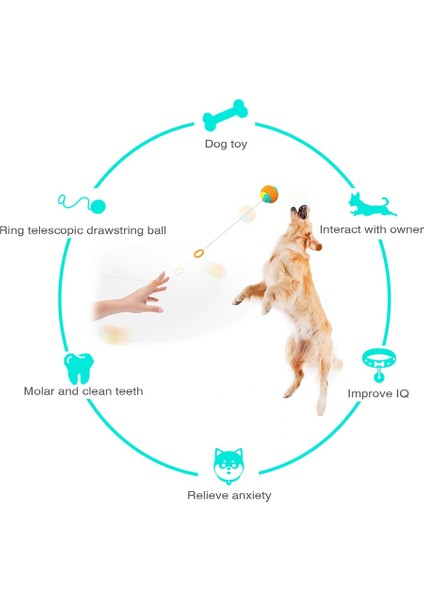 Chance Petcastle Çok Fonksiyonlu Pet Fırlatma Topu Molar El Fırlatma Topu (Yurt Dışından)