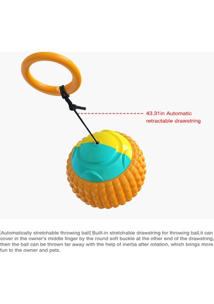 Çok Fonksiyonlu Pet Fırlatma Topu Molar El Fırlatma Topu (Yurt Dışından) modelleri