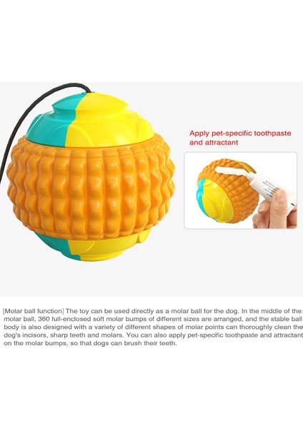 Çok Fonksiyonlu Pet Fırlatma Topu Molar El Fırlatma Topu (Yurt Dışından) fırsatları