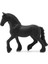 Frisian Kısrağı 13906 3