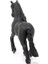 Frisian Kısrağı 13906 4