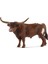 T Longhorn Boğa 13866 1