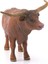 T Longhorn Boğa 13866 2