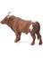 T Longhorn Boğa 13866 3