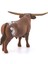 T Longhorn Boğa 13866 4
