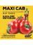 Maxi Cab 1