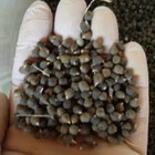 Doğal Bamya Şifa Amaçlıadetu ( 0,5 Kg)