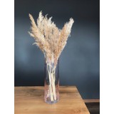 Glassella El Yapımı Silindir Vazo , Çiçeklik 30 cm