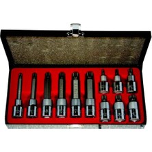 Rico 007-RC7004 12 Parça M Tipi Torx Lokma Seti 1/2