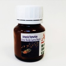 Avina Brine Shrimp Artemia Yumurtası 15 gr