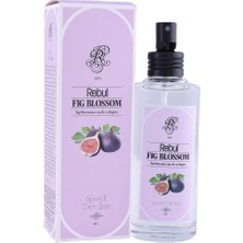 Rebul  Rebul Kolonya Fıg 100ML