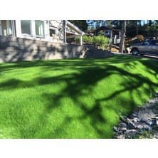 Turfquick Sunshıne 10M2  4’ Lü Özel Tohum Karışımlı Ekim Kumaşı