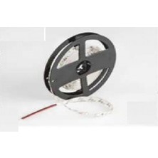 Cata CT-4484 10ç Iç Mekan Mavi LED Şerit(5 Mt) Cata