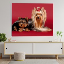 Deko Gonya Evcil Köpek Kanvas Tablo