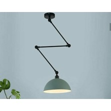 Riolight  Modern Tekli Metal Sarkıt Avize Şapka Çapı: 30CM