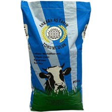 As Tarım - Süt Otu-Ryegrass-Italyan Çimi 25 kg