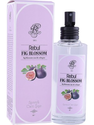 Rebul  Rebul Kolonya Fıg 100ML