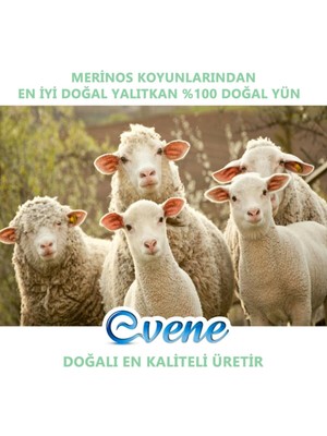 Evene Yün Yorgan Tek Kişilik Serin Tutucu Terletmeyen Organik Merinos Yünü El Dikişli Antialerjenik 1 Kişilik