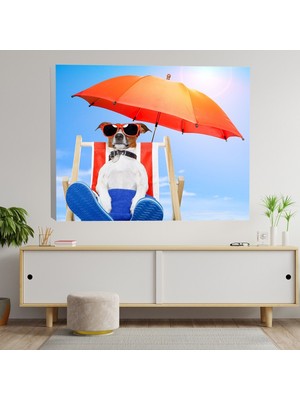 Deko Gonya Güneşlenen Köpek Temalı Kanvas Tablo