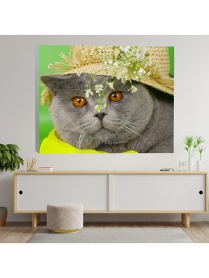 Deko Gonya Ingiliz Kedi Kanvas Tablo