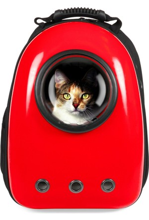 Kedi Seyahat Aksesuarlari 10 Indirim 34 Tl Den Baslayan Fiyatlar