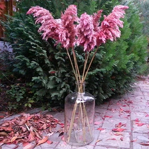 Yapay Pampas Otu Demet 100 cm Pembe 8'li – Düğün, Etkinlik ve Ev Dekorasyonu, Tüy Dökmez, Uzun Ömürlü