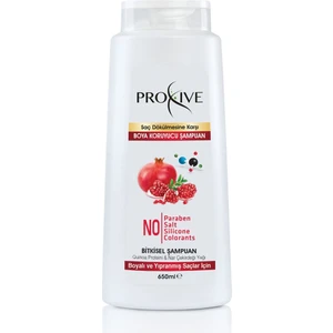 Tuzsuz Parabensiz Silikonsuz Boyasız Boya Koruyucu Şampuan 650 ml