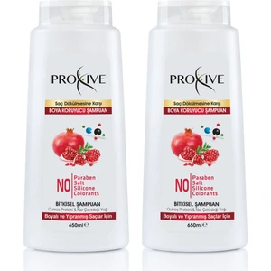 Tuzsuz Parabensiz Silikonsuz Boyasız Boya Koruyucu Şampuan 650 ml x 2'li Avantaj