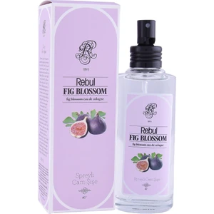 Rebul Kolonya Fıg 100ML