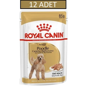 Royal Canın Poodle Yaş Köpek Konserve Pouch Maması 12 Adet x 85 gr