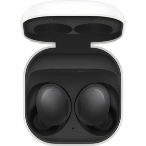 Galaxy Buds 2 Bluetooth Kulaklık Black SM-R177NZKATUR