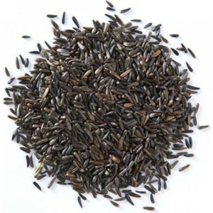 Nijer Tohumu 100GR