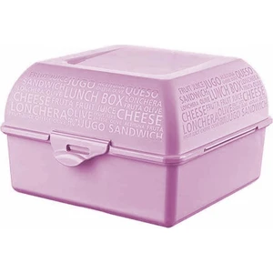 AP-9081 Takeaway Beslenme Kabı Pembe