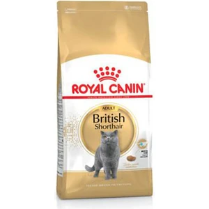 Royal Canin British Shorthair Adult Kedi Maması 4 kg Yetişkin Kedi Maması