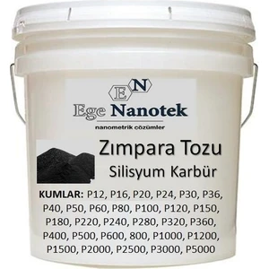 Ege Nanotek 800 Kum Zımpara Tozu Silisyum Karbür P800 - 500 Gram