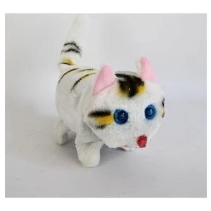 Pilli Kedi
