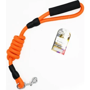 Köpek Uzatma Tasması 14MMX120 cm Turuncu