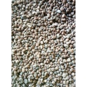 Canlı Petshop Lav Kırığı 5 kg 1-2 cm Iriliğinde