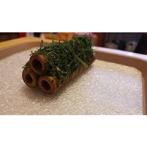 Canlı Petshop Y-Moss 3 Lü Kamışa Tutturulmuş ( Karides Yuvası ve Üretim Kamışı)