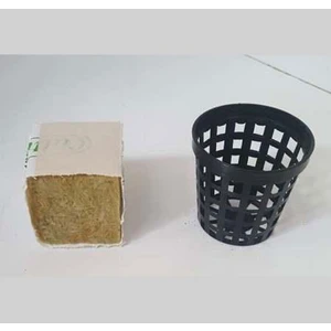 Canlı Petshop Topraksız ve Kumsuz Bitki Bakım Saksısı